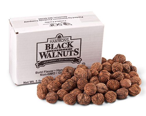 In-Shell Black Walnuts
